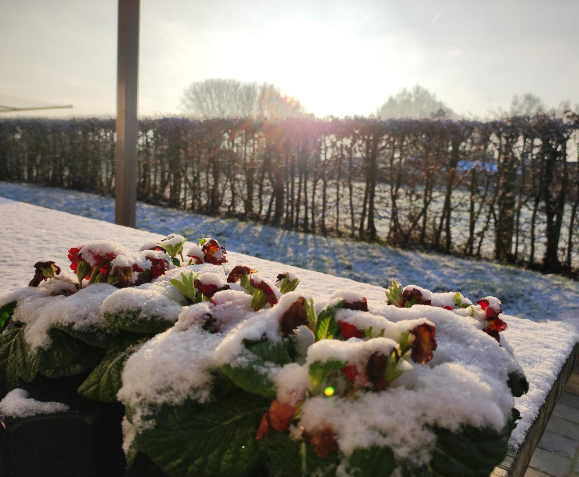 Bed and Breakfast Cote Campagne Houthem Exterior foto